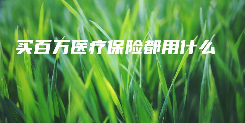 买百万医疗保险都用什么-PLB
