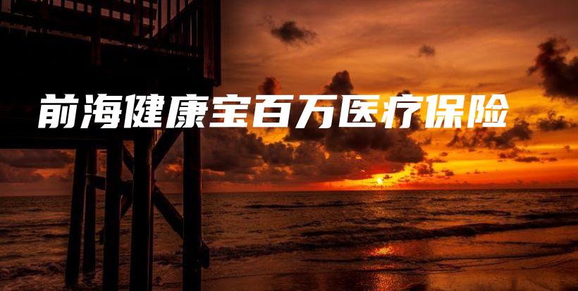 前海健康宝百万医疗保险-PLB