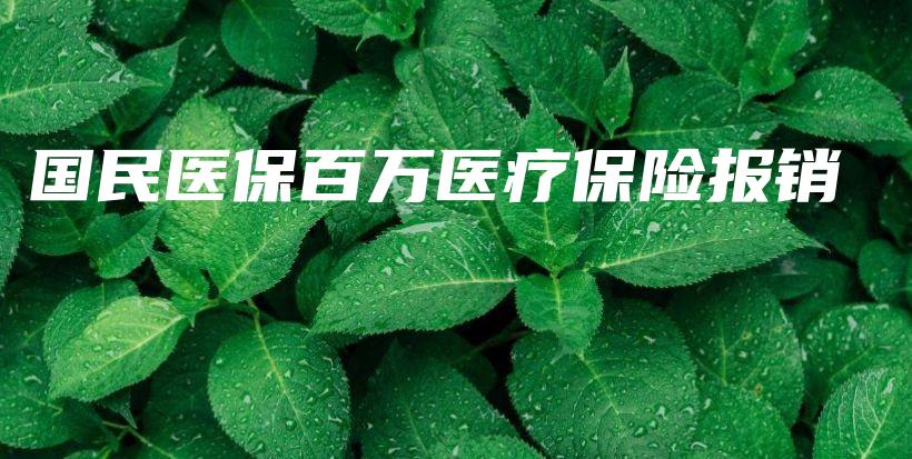 国民医保百万医疗保险报销-PLB