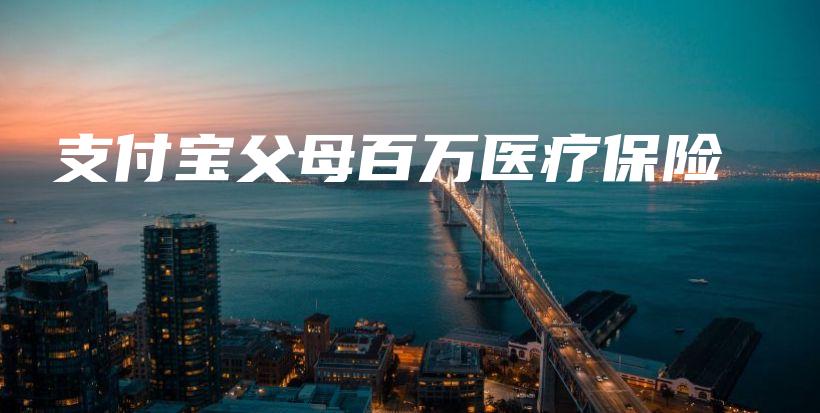 支付宝父母百万医疗保险-PLB