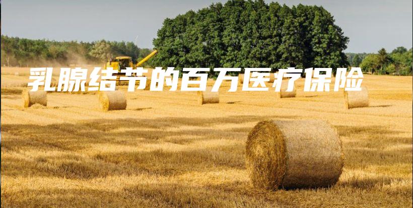 乳腺结节的百万医疗保险-PLB