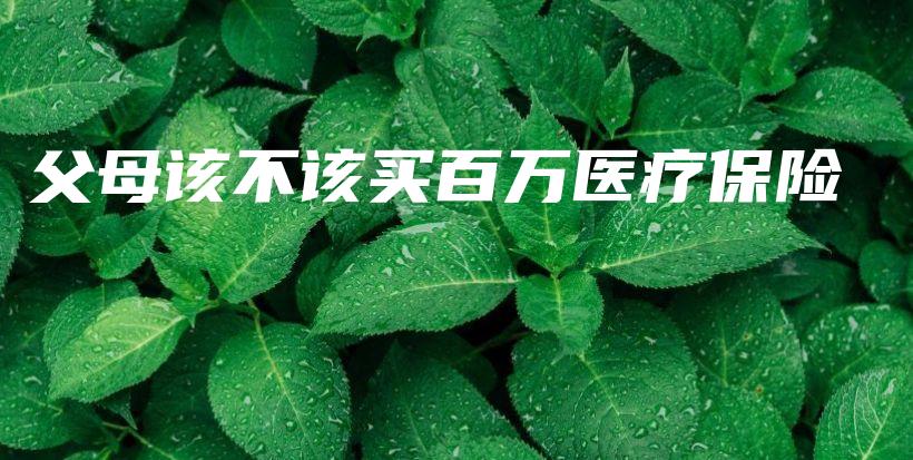 父母该不该买百万医疗保险-PLB