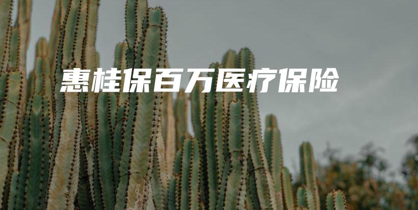 惠桂保百万医疗保险-PLB
