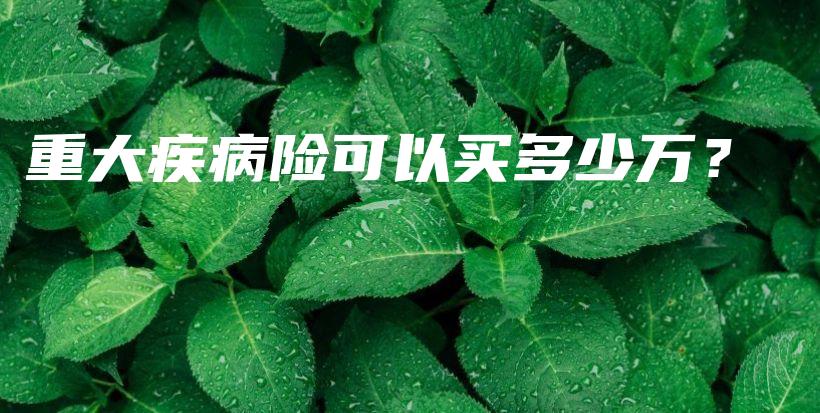 重大疾病险可以买多少万？-PLB