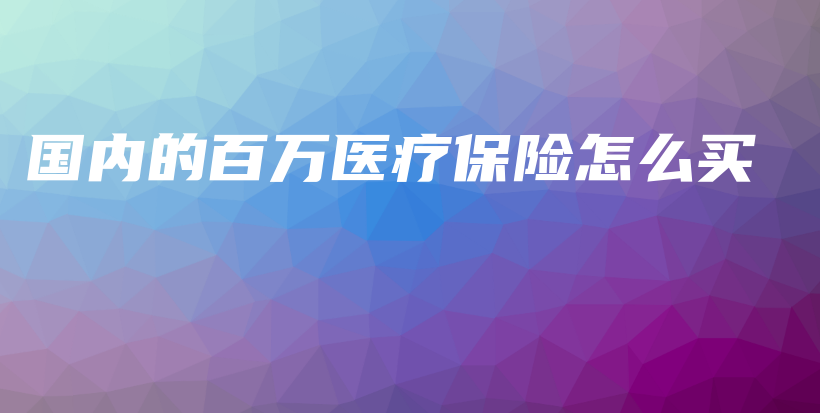 国内的百万医疗保险怎么买-PLB