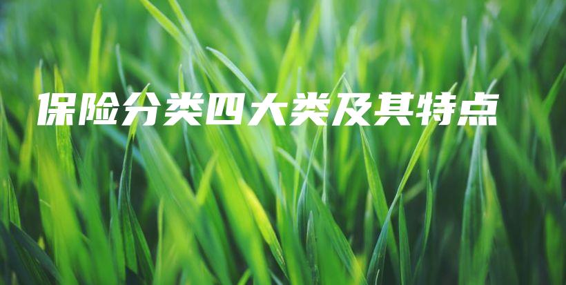 保险分类四大类及其特点-PLB