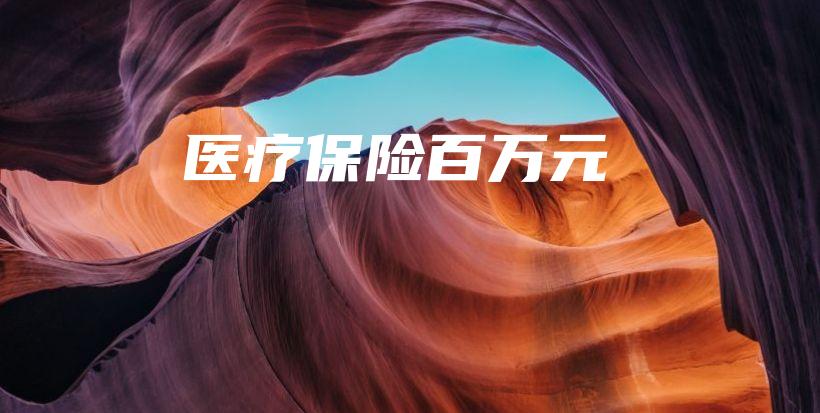 医疗保险百万元-PLB