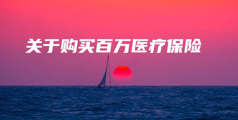 关于购买百万医疗保险-PLB
