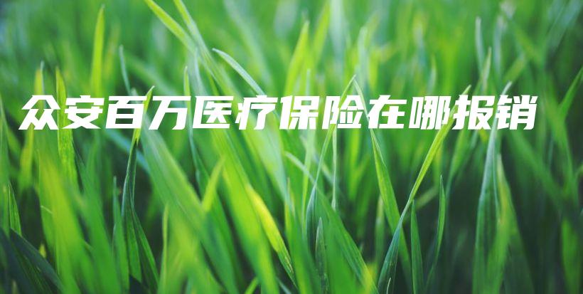 众安百万医疗保险在哪报销-PLB