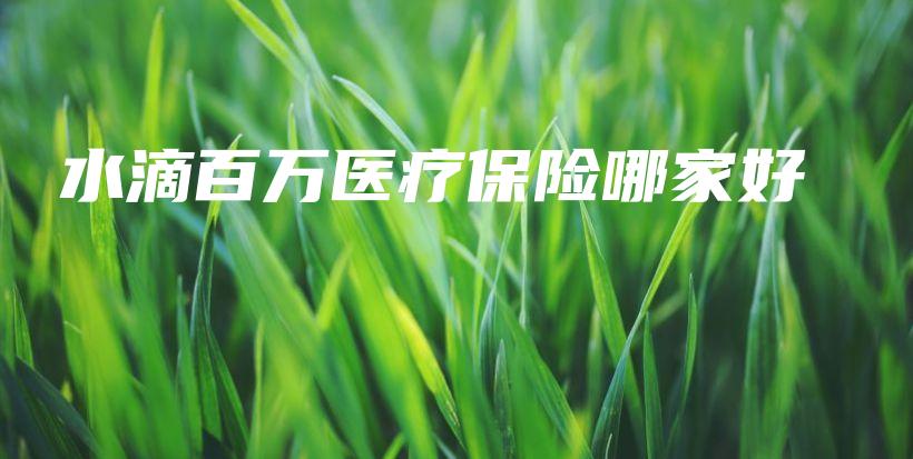 水滴百万医疗保险哪家好-PLB