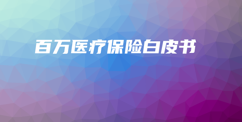 百万医疗保险白皮书-PLB