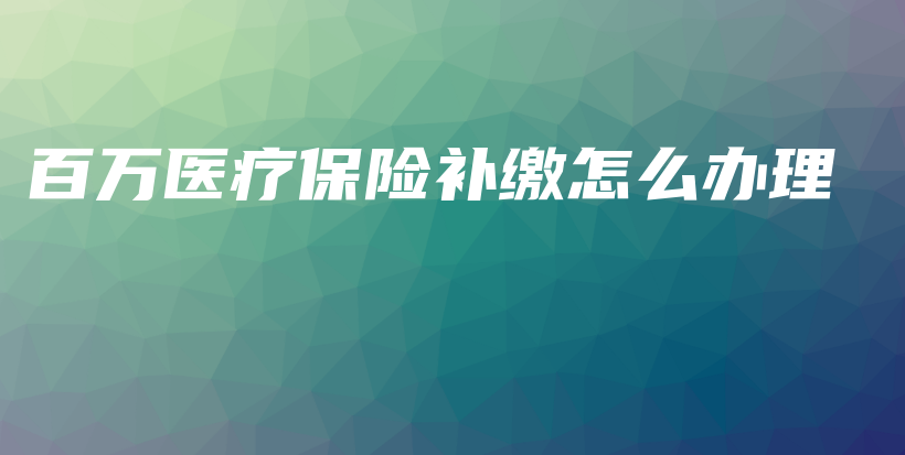 百万医疗保险补缴怎么办理-PLB