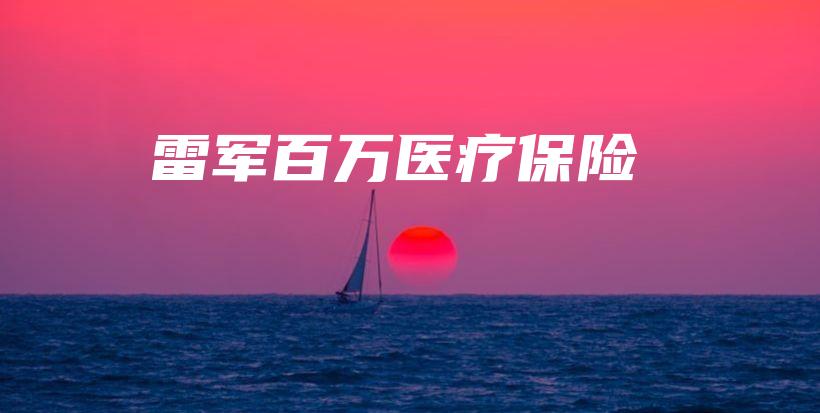 雷军百万医疗保险-PLB