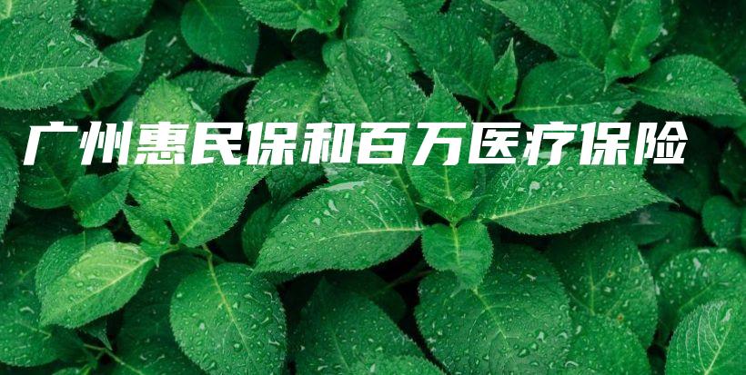 广州惠民保和百万医疗保险-PLB