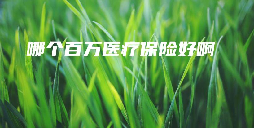 哪个百万医疗保险好啊-PLB