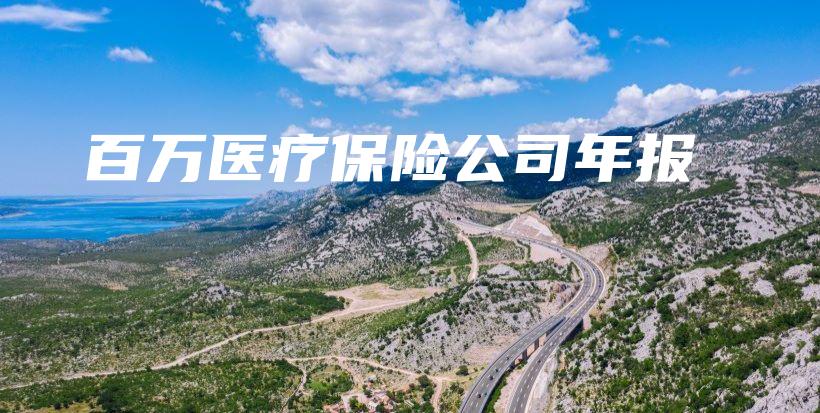 百万医疗保险公司年报-PLB