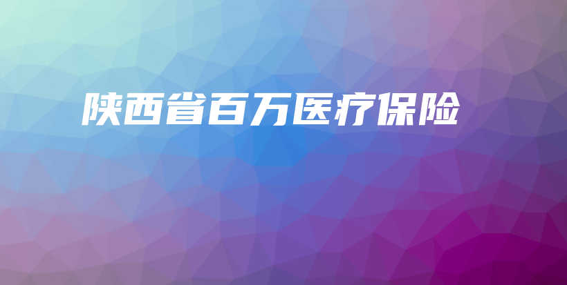 陕西省百万医疗保险-PLB