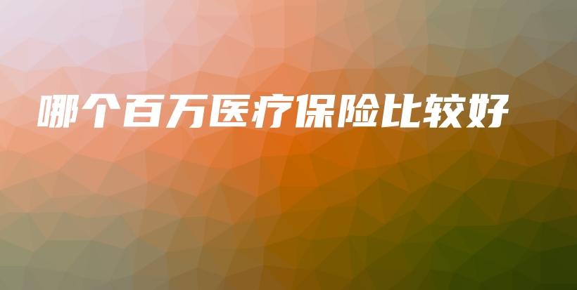 哪个百万医疗保险比较好-PLB
