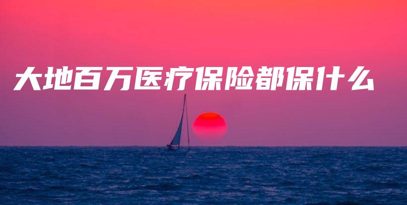 大地百万医疗保险都保什么-PLB