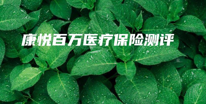 康悦百万医疗保险测评-PLB