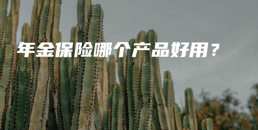 年金保险哪个产品好用？-PLB