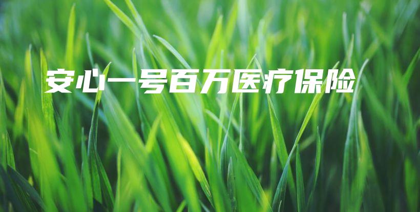 安心一号百万医疗保险-PLB