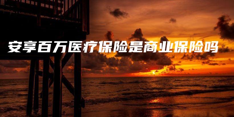 安享百万医疗保险是商业保险吗-PLB