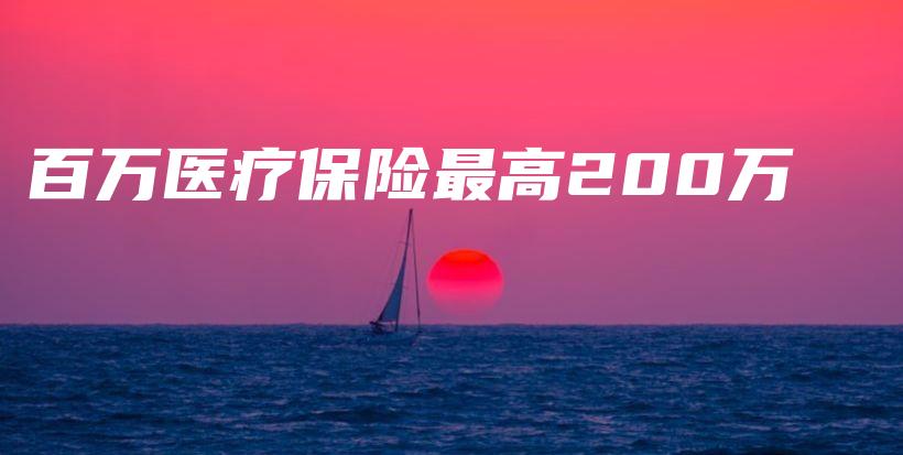 百万医疗保险最高200万-PLB