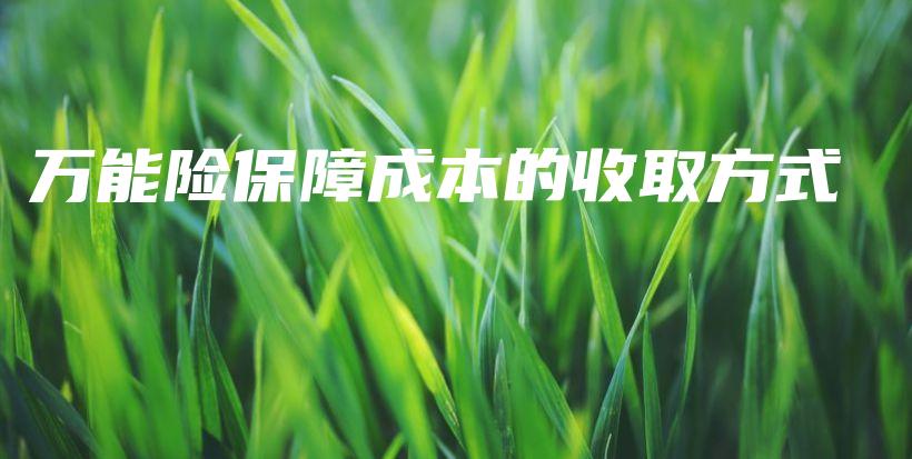 万能险保障成本的收取方式-PLB