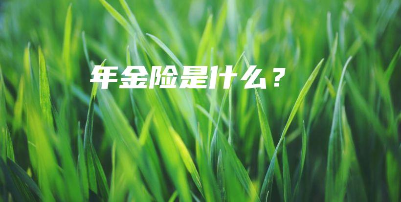年金险是什么？-PLB