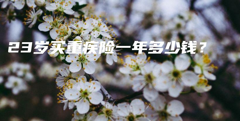 23岁买重疾险一年多少钱？-PLB