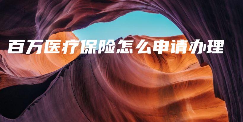 百万医疗保险怎么申请办理-PLB