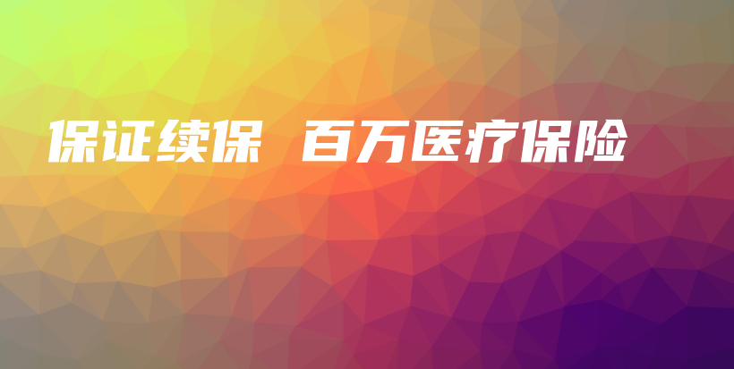 保证续保 百万医疗保险-PLB