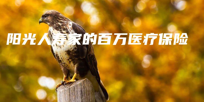 阳光人寿家的百万医疗保险-PLB
