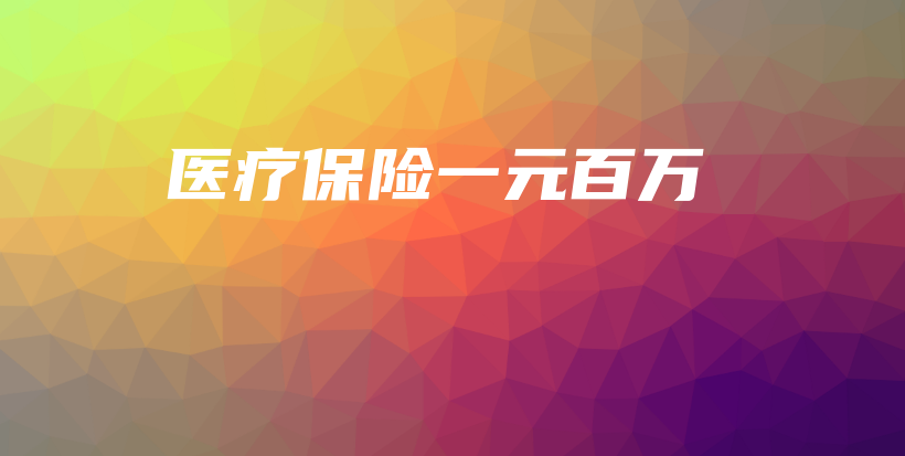 医疗保险一元百万-PLB