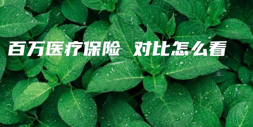 百万医疗保险 对比怎么看-PLB