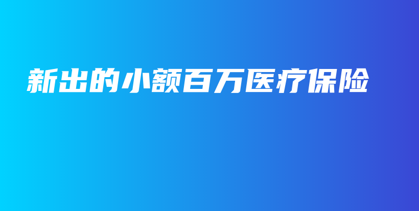 新出的小额百万医疗保险-PLB