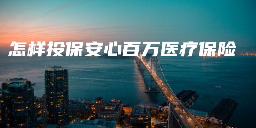 怎样投保安心百万医疗保险-PLB