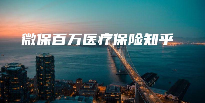 微保百万医疗保险知乎-PLB