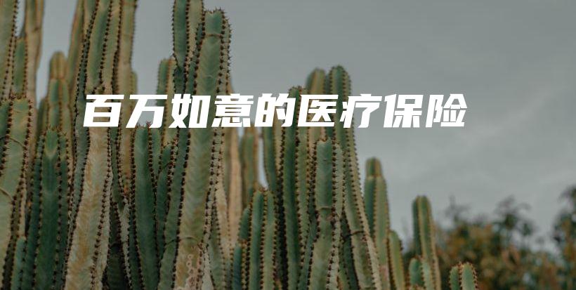 百万如意的医疗保险-PLB