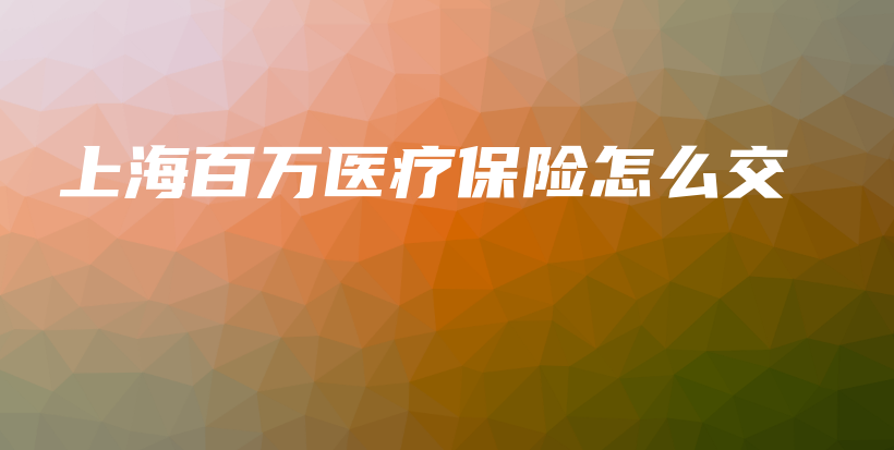 上海百万医疗保险怎么交-PLB