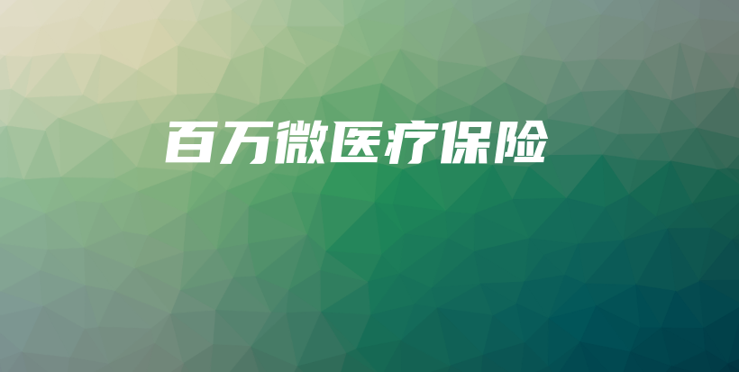 百万微医疗保险-PLB