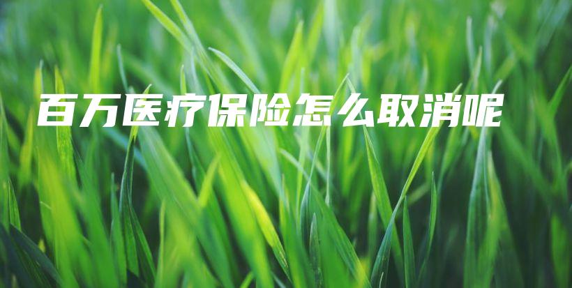 百万医疗保险怎么取消呢-PLB