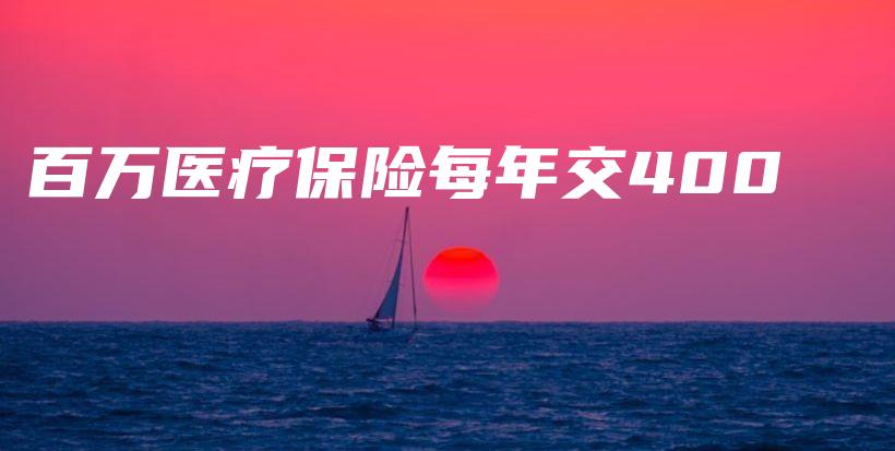 百万医疗保险每年交400-PLB