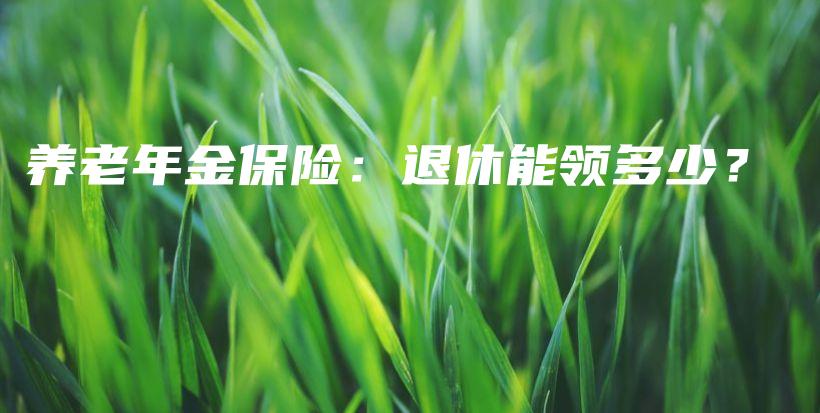 养老年金保险：退休能领多少？-PLB