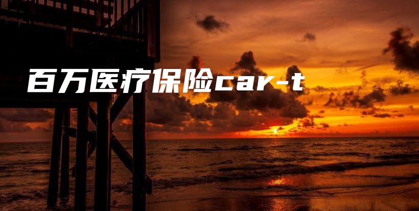 百万医疗保险car-t-PLB