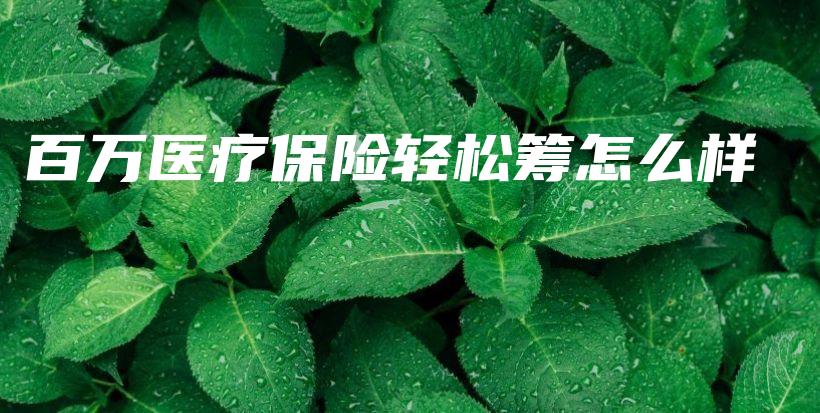百万医疗保险轻松筹怎么样-PLB
