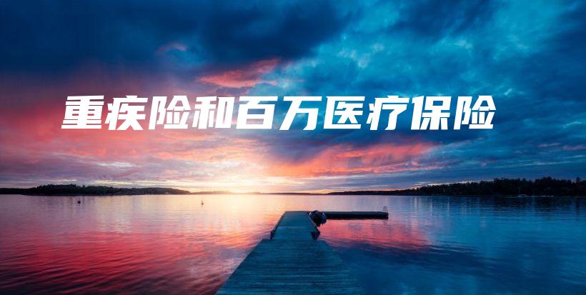 重疾险和百万医疗保险-PLB