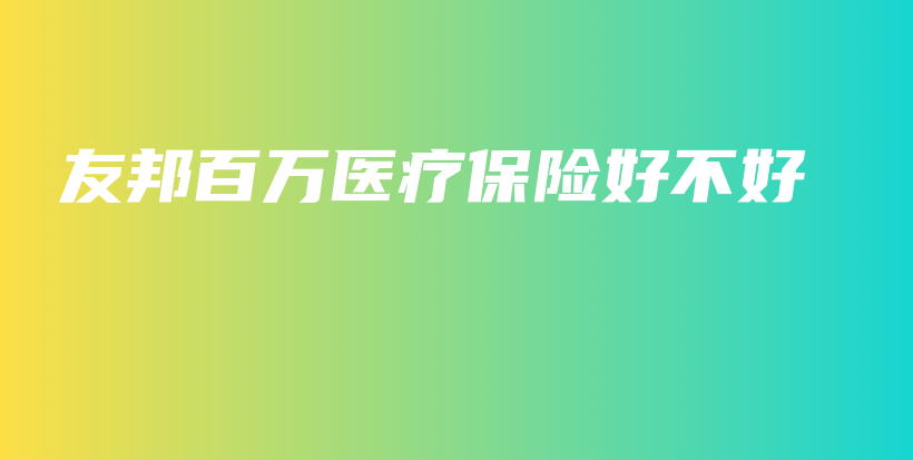 友邦百万医疗保险好不好-PLB