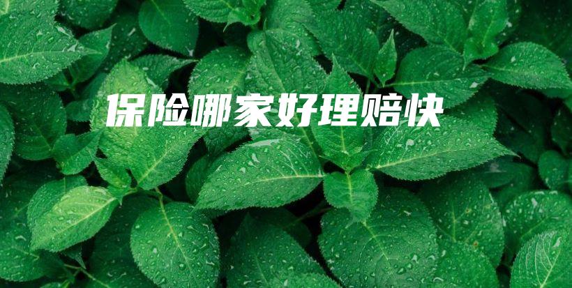 保险哪家好理赔快-PLB